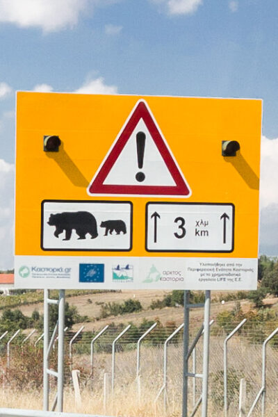 Una Grecia non convenzionale: Prespa

Egnatia Odos Motorway Bear Crossing warning Greece