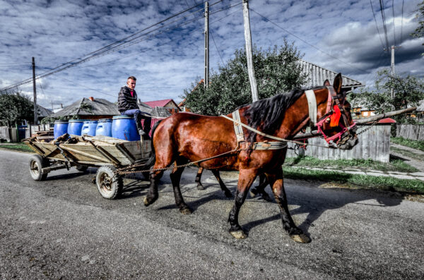 Maramures carri cavalli ed internet - .Mezzi di trasporto.