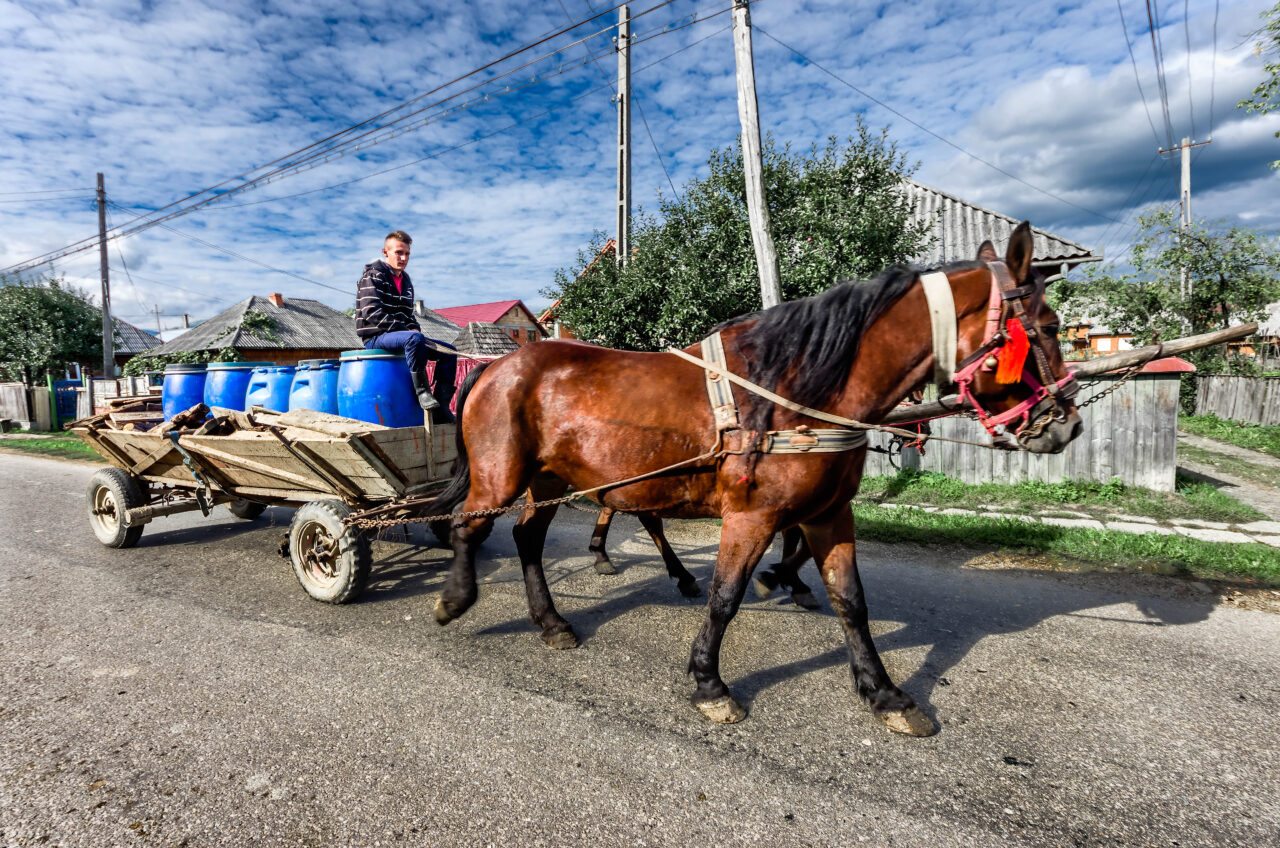 Trasporto in Maramures Romania