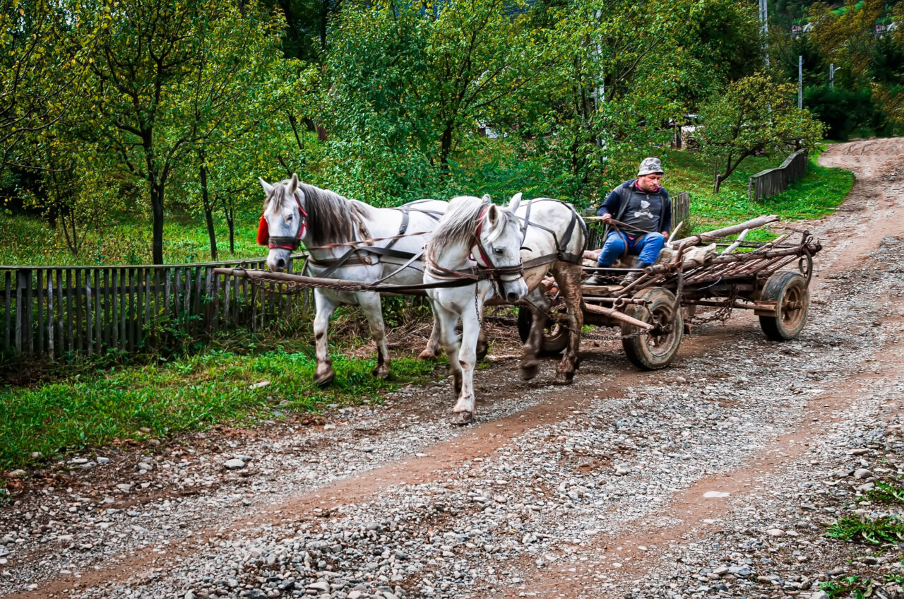 Carri a cavalli Maramures Romania