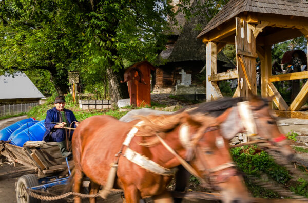 Carretto a cavalli Maramures Romania